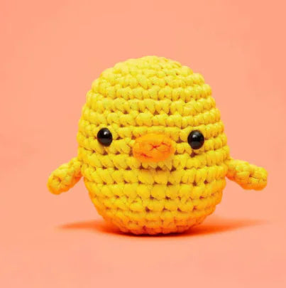Easy Starter Crochet Kit with Video Tutorials for Beginners